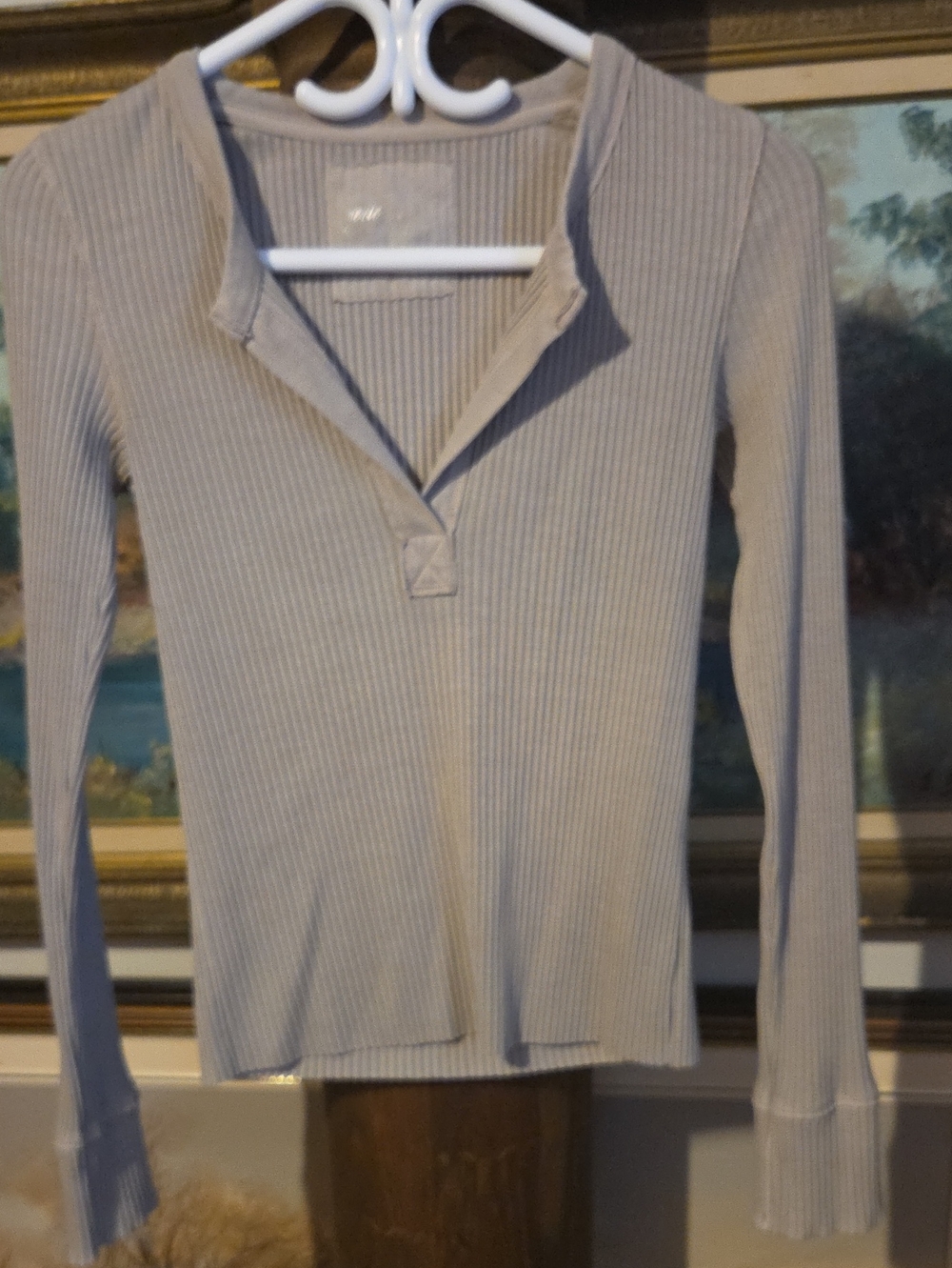 aerie Ribbed V-Neck Long Sleeve Top in Light Taupe